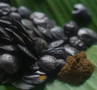 Yopo - Rapé sagrado para el alineamiento chamánico ancestral